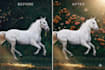 do face retouching and background blur editing