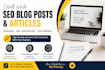 write blogs posts, article and website