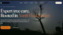 create a website for you