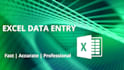 do accurate excel data entry professionally