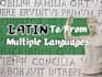 translate multiple languages to and from latin, greek
