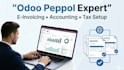 odoo peppol integration e invoicing and accounting setup,accounting localization