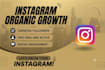 do fast instagram organic growth