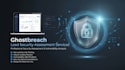 do a professional website security assessment