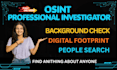 do background check, digital footprint analysis and online research
