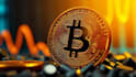 help you launch your own crypto token
