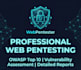 do web penetration testing and security assessment