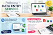 do accurate data entry, web research, copy paste and data collection