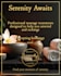 create professional social media posts and promotional graphics