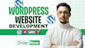 design a professional wordpress website or woocommerce store