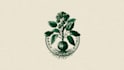 create hand drawn botanical boho logo designs