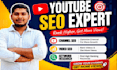 do best youtube video SEO expert with vidiq