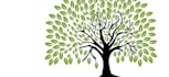 design beautiful bonsai tree logo