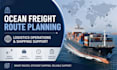 do ocean freight and planning