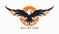 design unique eagle aviation mascot logo in 12 hours