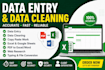 data entry data ,data cleaning,excel dataentry,data analysis