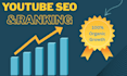 do professional youtube SEO