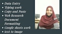 1 i will do fast and accurate data entry