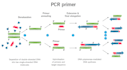 design diagnostic pcr primers and probes