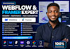 do webflow website, framer website, framer webflow landing page, webflow expert
