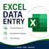 do excel data entry, financial reports and spreadsheet cleanup