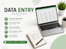 do accurate data entry , copy paste , tally erp9