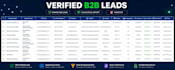 provide verified b2b leads and web scraping services