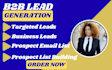 do email, linkedin and b2b lead generation within 24 hours