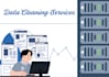 clean, organize and standardize the data for you