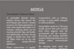 create a article and blogs