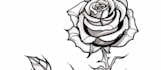 create traditional and neo traditional tattoo art