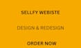 design sellfy website design shopify store design droppshipping