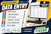do accurate data entry, excel data cleaning and web research expert