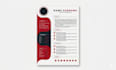 design a professional ats optimized CV resume with modern layout