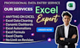 do excel data cleaning and interactive dashboard project