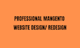 build a modern magento ecommerce store