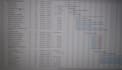 do professional ms project scheduling and gantt charts