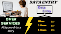 fast data entry work