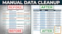 provide manual data entry and spreadsheet cleanup
