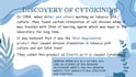 create a modern canva presentation