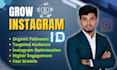 manage, optimize, and grow instagram id organically