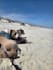 create custom pet friendly and regular travel itineraries
