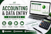 do bookkeeping, accounting, data entry in excel and tally