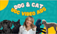 create a pet ugc video ad for your pet product or service