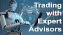 perform professional forex ea backtesting and optimization