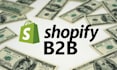 shopify b2b sales store revamp shopify website b2b leads generation for stores