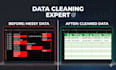 clean, analyze and visualize your excel data professionally