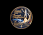 design professional unique rocket logo within 12 hours