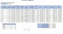 advance excel data processing and formulas