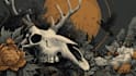 draw a detailed dark art rock gothic illustration